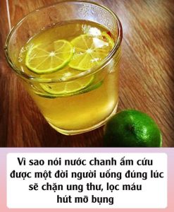 Vì sao nói nước chanh ấm cứu được một đời người: Uống đúng lúc sẽ chặn ung thư, lọc máu, hút mỡ bụng