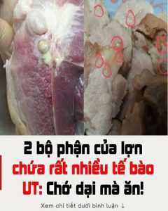 2 bộ phận của lợn chứa rất nhiều tế bào UT: Chớ dại mà ăn